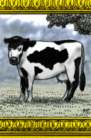 Mad cow