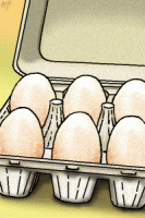 New eggs