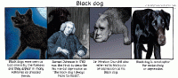 black dog