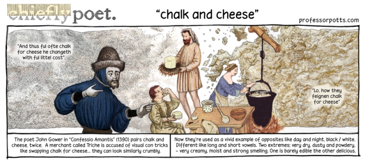 chalk and cheese