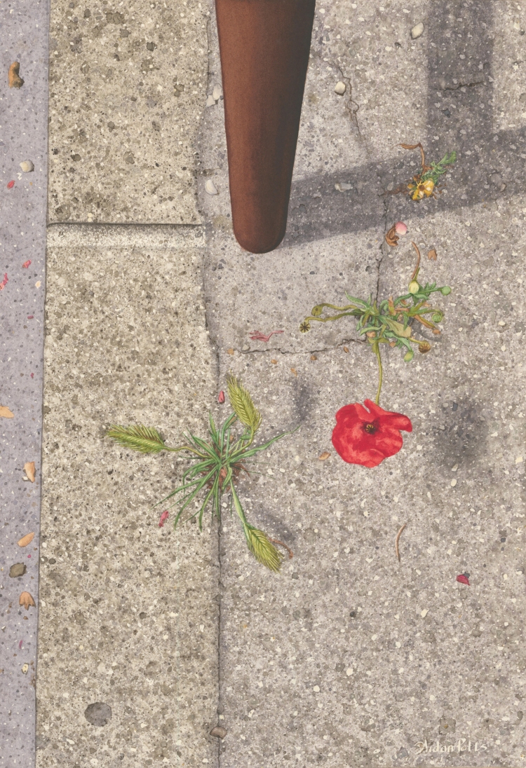 Singlebarrier