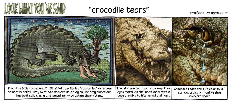 Crocodile Tears: Why Do We Use This Phrase? Origins, History & Meaning